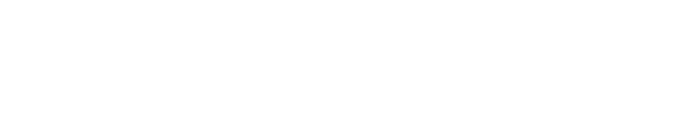 Network International